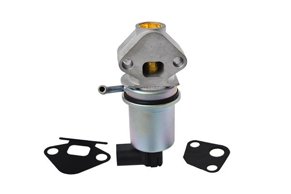ASAM AUTOMOTIVE 74219 - ERG Valve