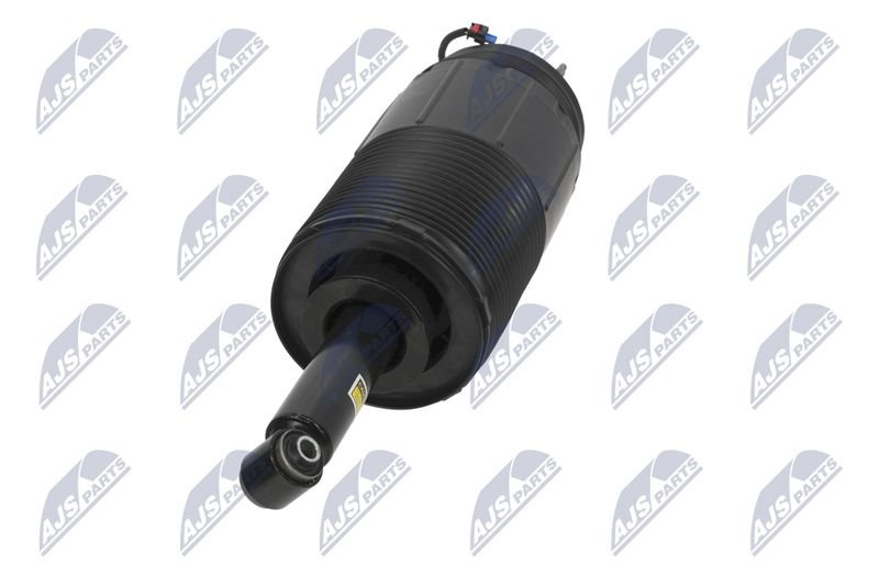 Amort, NTY A-CH-099