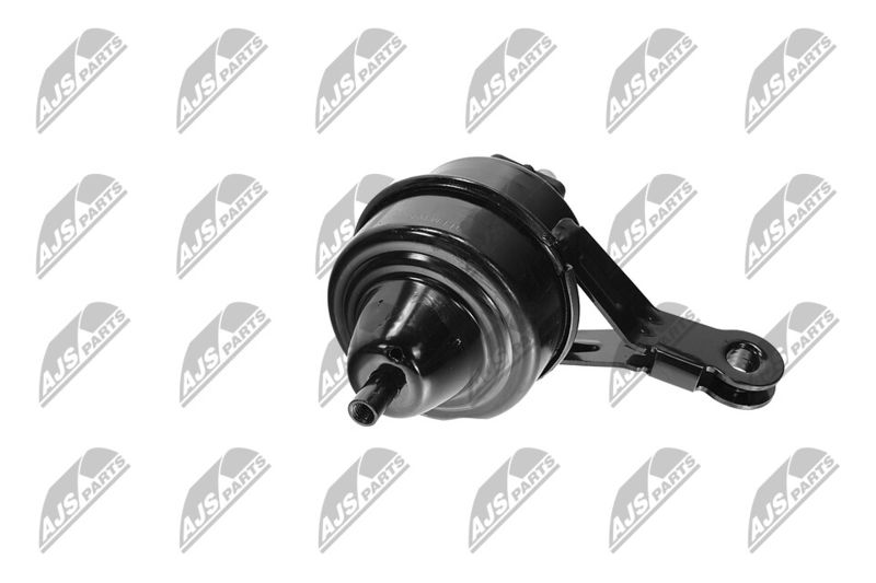 Paigutus, Mootor, NTY ZPS-BM-035