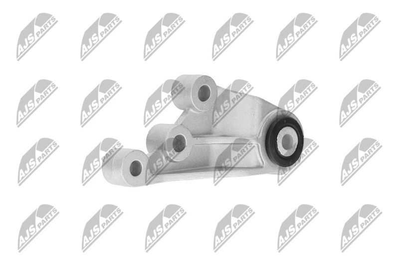 Paigutus, Mootor, NTY ZPS-CH-120