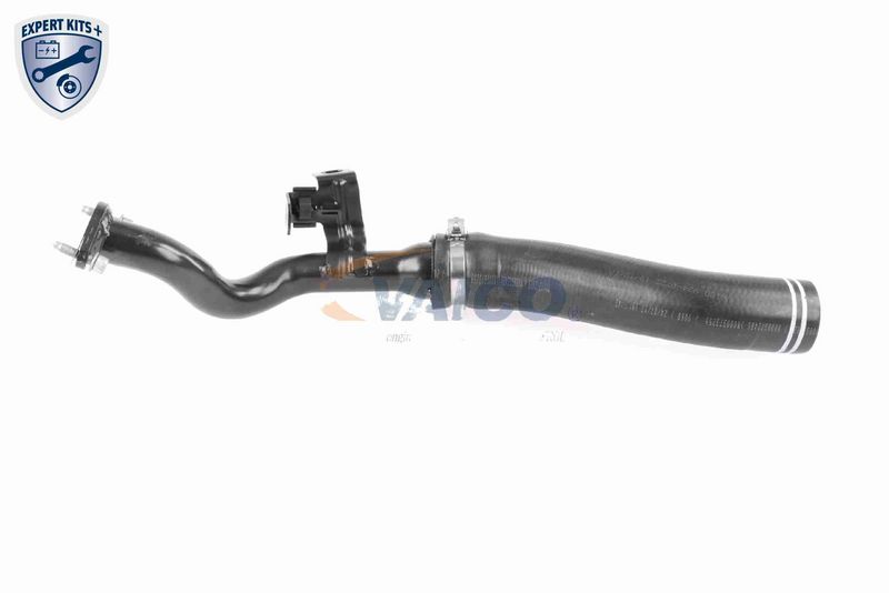VAICO V24-0722 Charge Air Hose