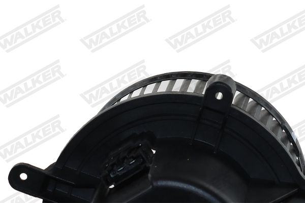 wbl01452_5353204.JPG