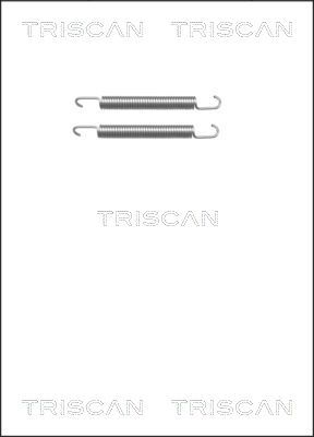 TRISCAN tartozékkészlet, rögzítőfék pofa 8105 652161
