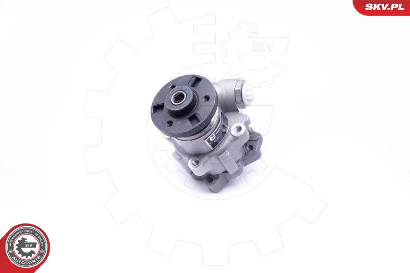 ESEN SKV 10SKV246 Hydraulic Pump, steering