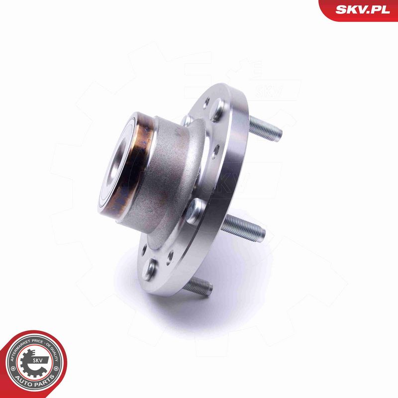 ESEN SKV 29SKV305 Wheel Bearing Kit