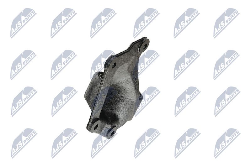 Paigutus, Mootor, NTY ZPS-CH-004