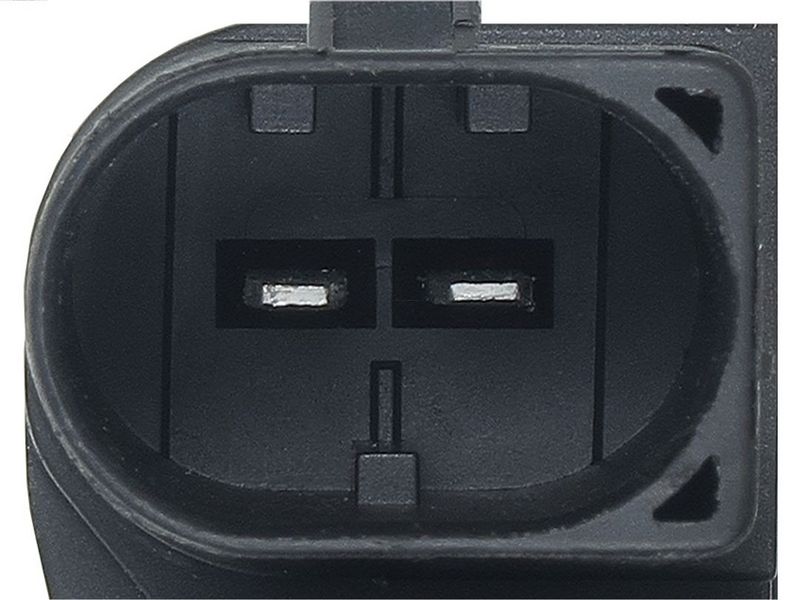 410851.JPG