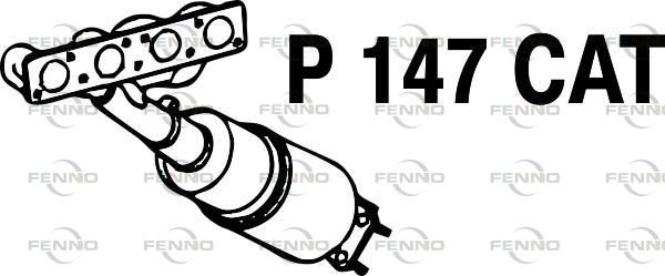 P147CAT.JPG