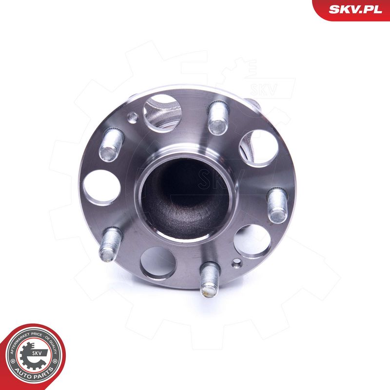 Rattalaagrikomplekt, ESEN SKV 29SKV239