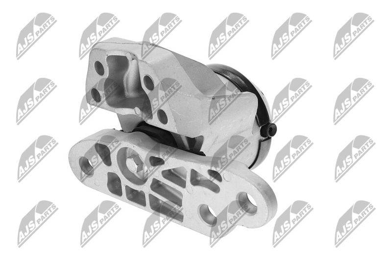 Paigutus, Mootor, NTY ZPS-FR-053