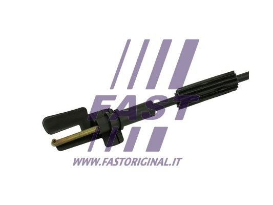 FT95750_3_1.JPG