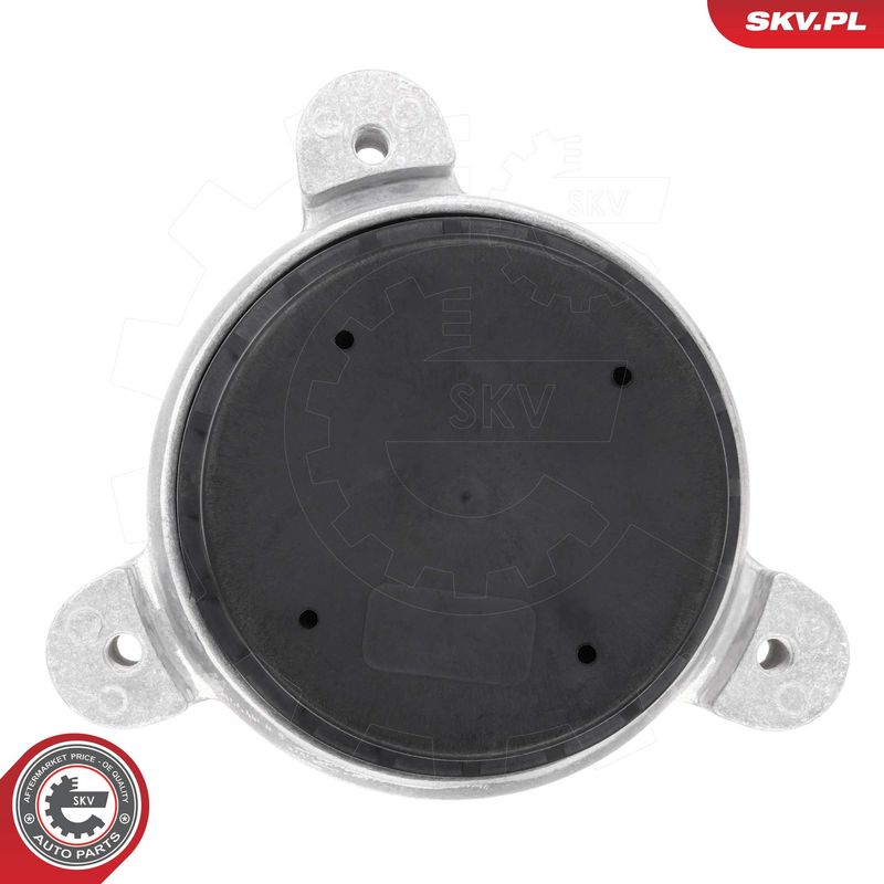 Paigutus, Mootor, ESEN SKV 75SKV250