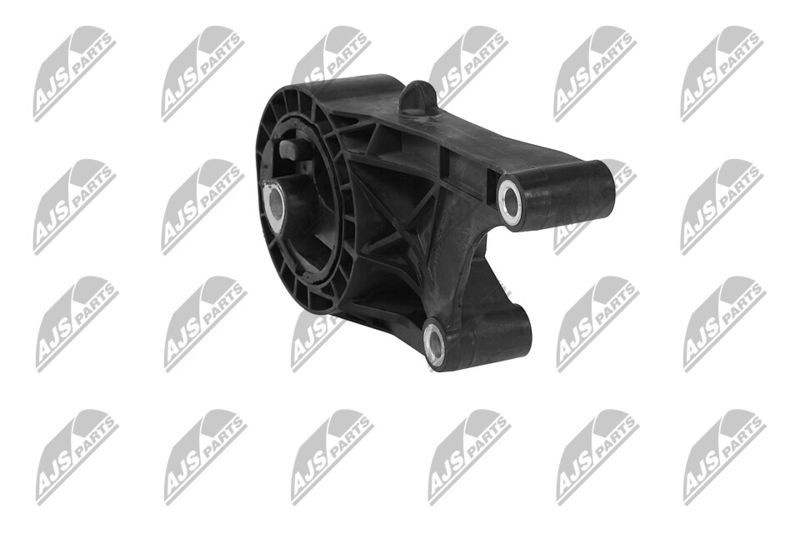 Paigutus, Mootor, NTY ZPS-PL-047
