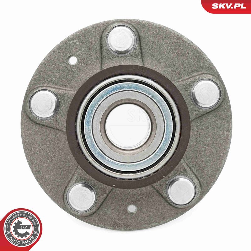 ESEN SKV 29SKV667 Wheel Bearing Kit