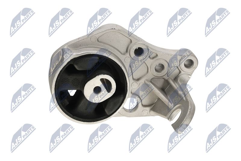 Paigutus, Mootor, NTY ZPS-CH-113