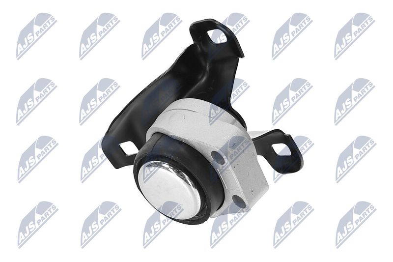 Paigutus, Mootor, NTY ZPS-FR-011