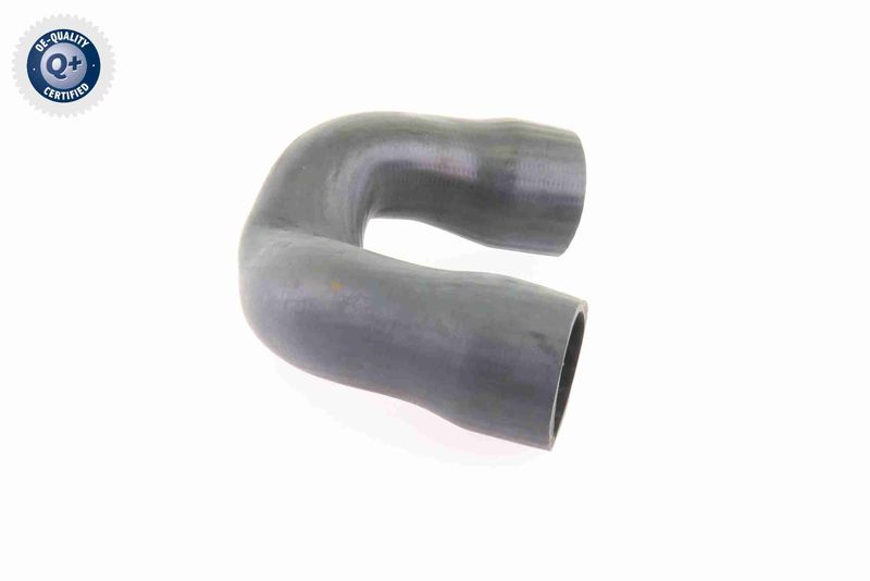 VAICO V10-3821 Charge Air Hose