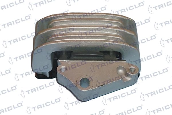 окачване, двигател TRICLO