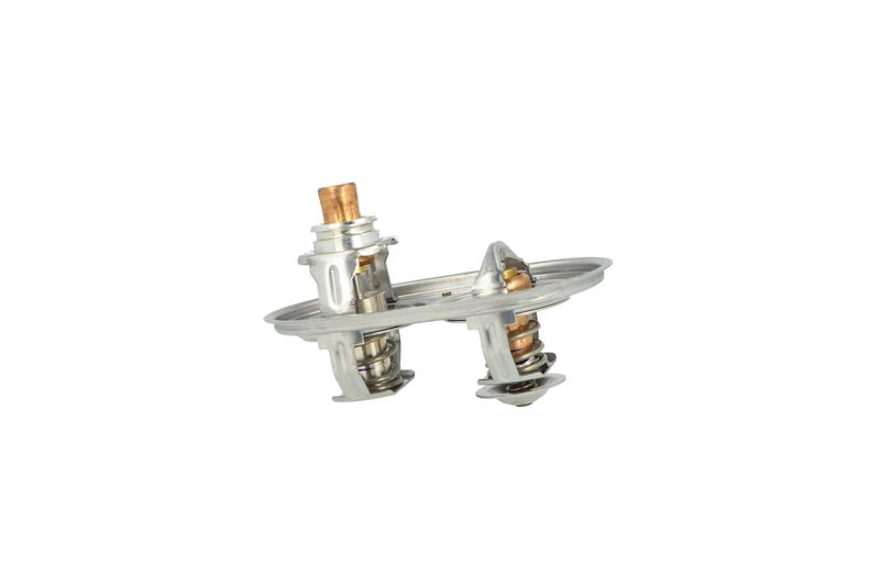 Termostat, chladivo 725393