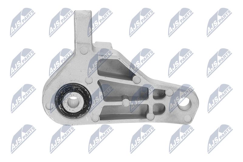 Paigutus, Mootor, NTY ZPS-FR-066