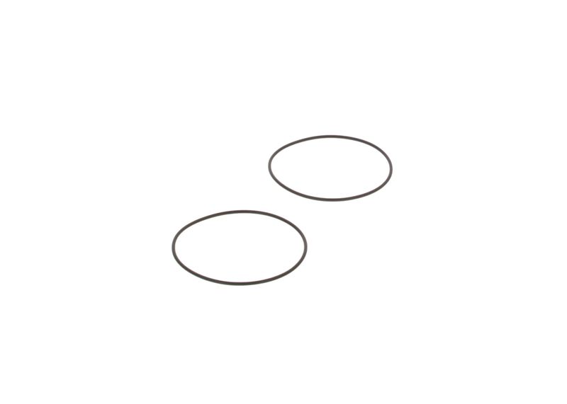 BOSCH 3130210005 Seal
