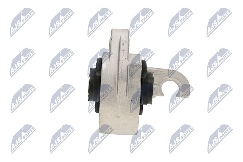 Paigutus, Mootor, NTY ZPS-CH-113