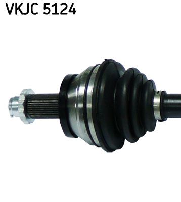 VKJC 5124_2.JPG