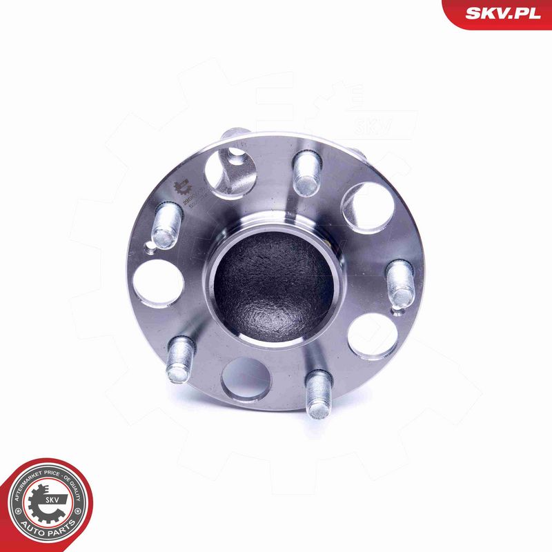 ESEN SKV 29SKV230 Wheel Bearing Kit