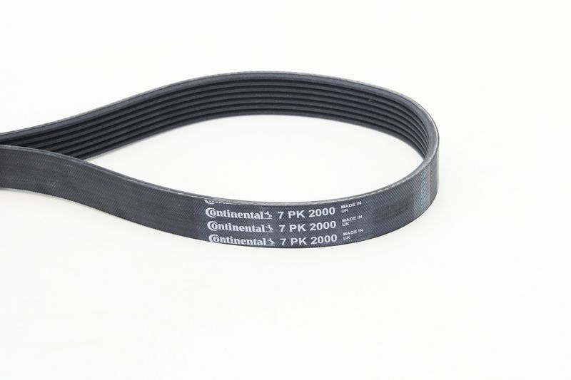 Soonrihm, CONTINENTAL CTAM 7PK2000