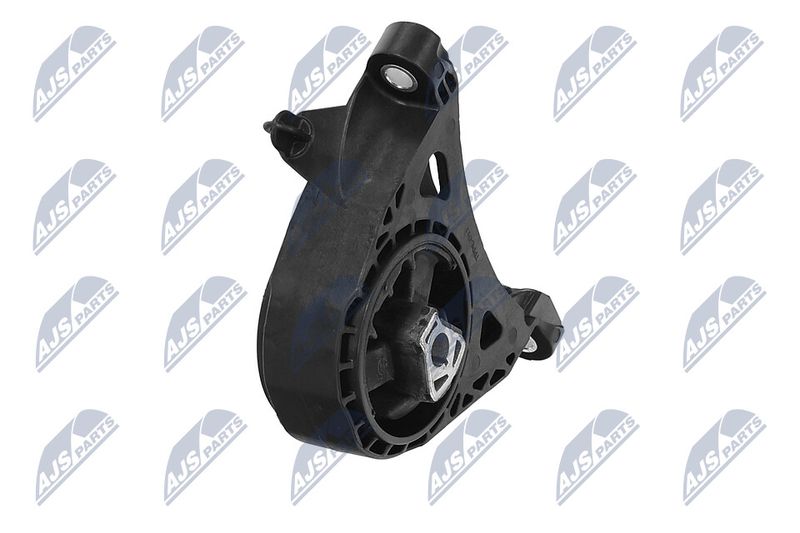 Paigutus, Mootor, NTY ZPS-PL-011