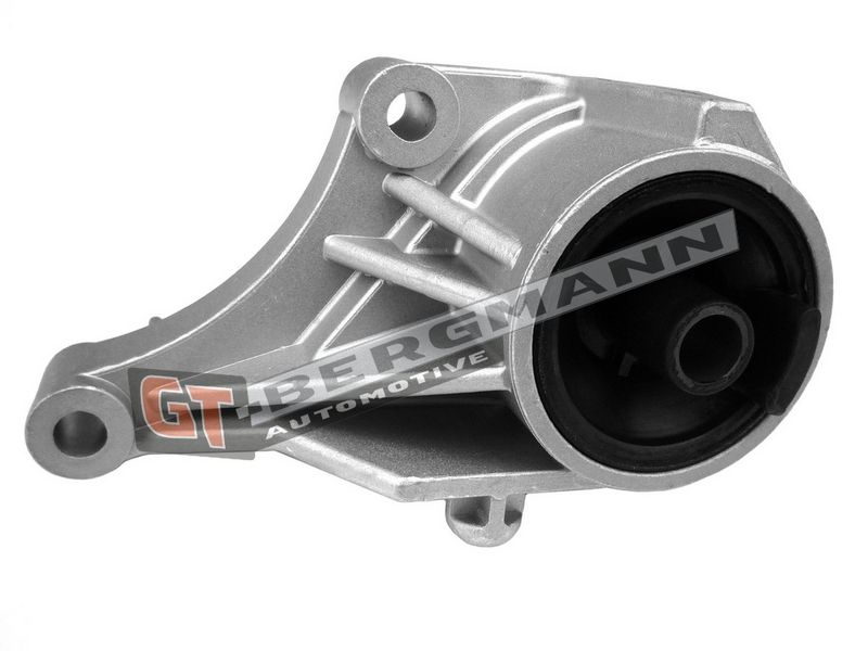 GT-BERGMANN Automotive Variklio montavimas