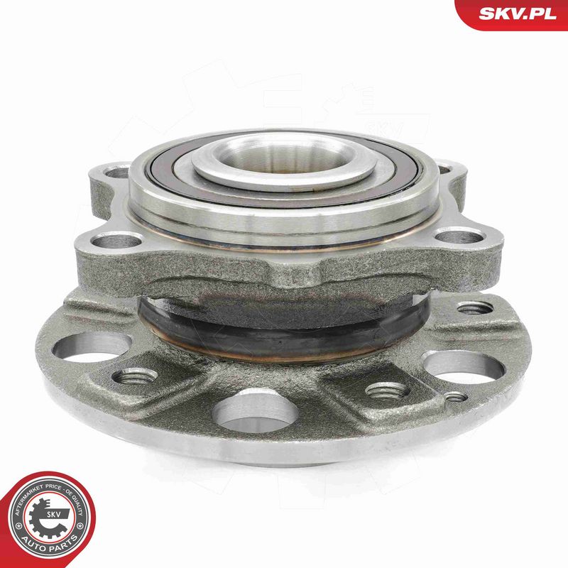 ESEN SKV 29SKV640 Wheel Bearing Kit