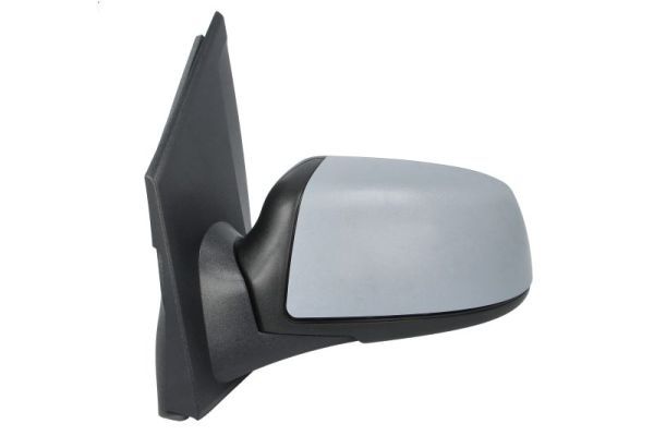 BLIC 5402-04-1113391P Exterior Mirror