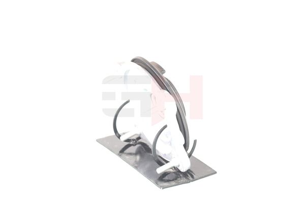 Vedruamordi tugilaager, GH GH-364718