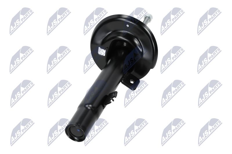 Amort, NTY A-CT-044