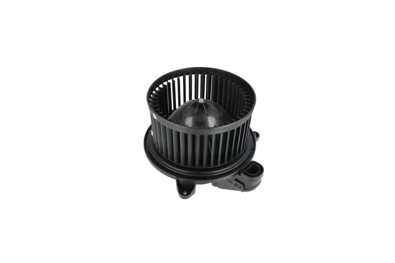 Salongipuhur, NRF 34365