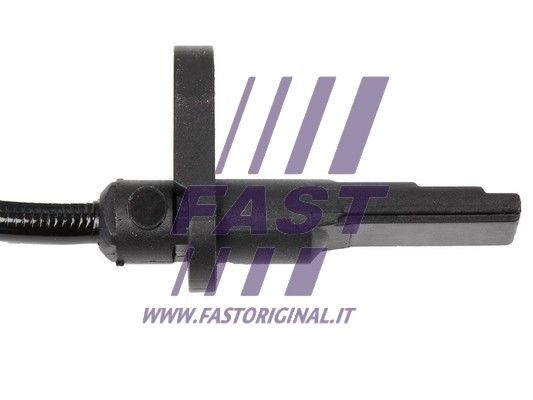 FT80506_2_1.JPG