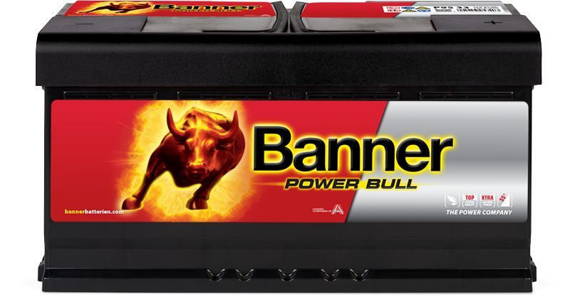 Banner 013595330101 - Starter Battery