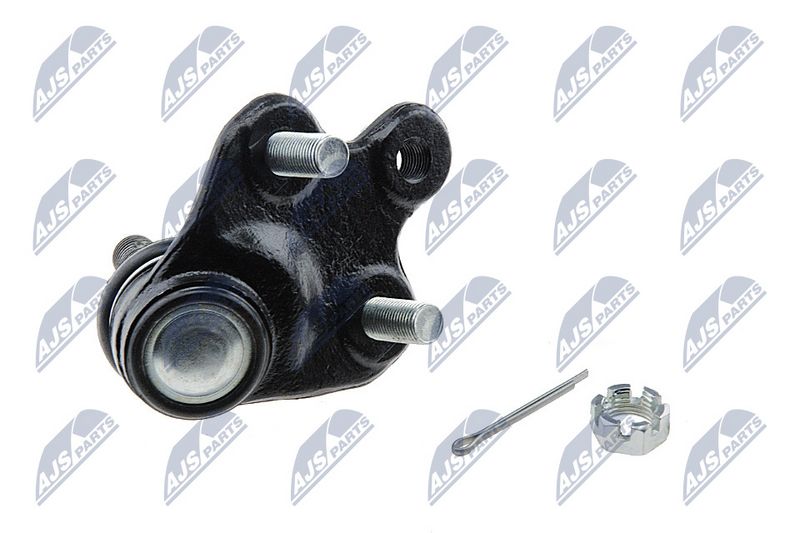 Kande-, juhtliigend, NTY ZSD-TY-065