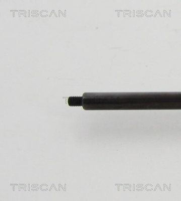 TRIS87101022352900_3.JPG