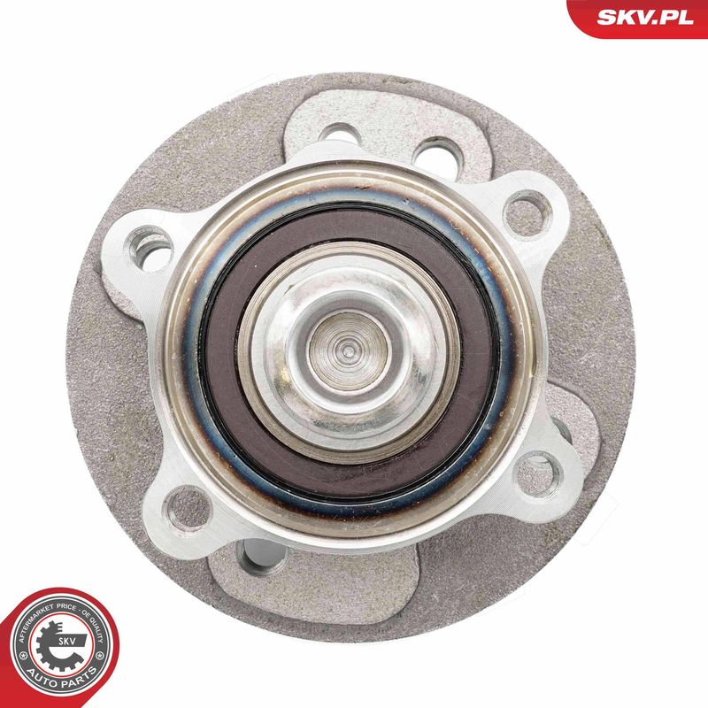 ESEN SKV 29SKV625 Wheel Bearing Kit