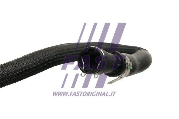 FT61177_3_1.JPG