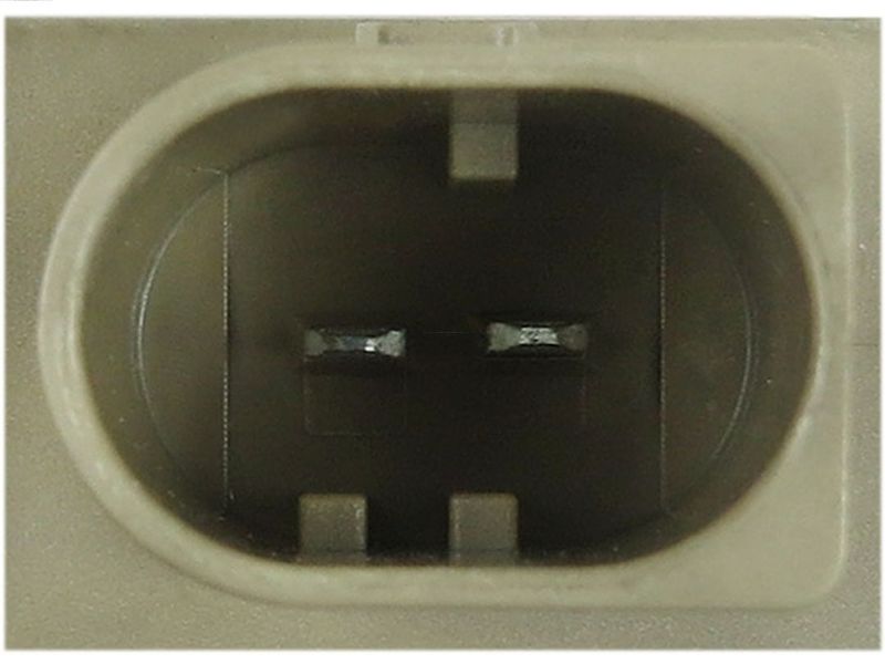 97907.JPG