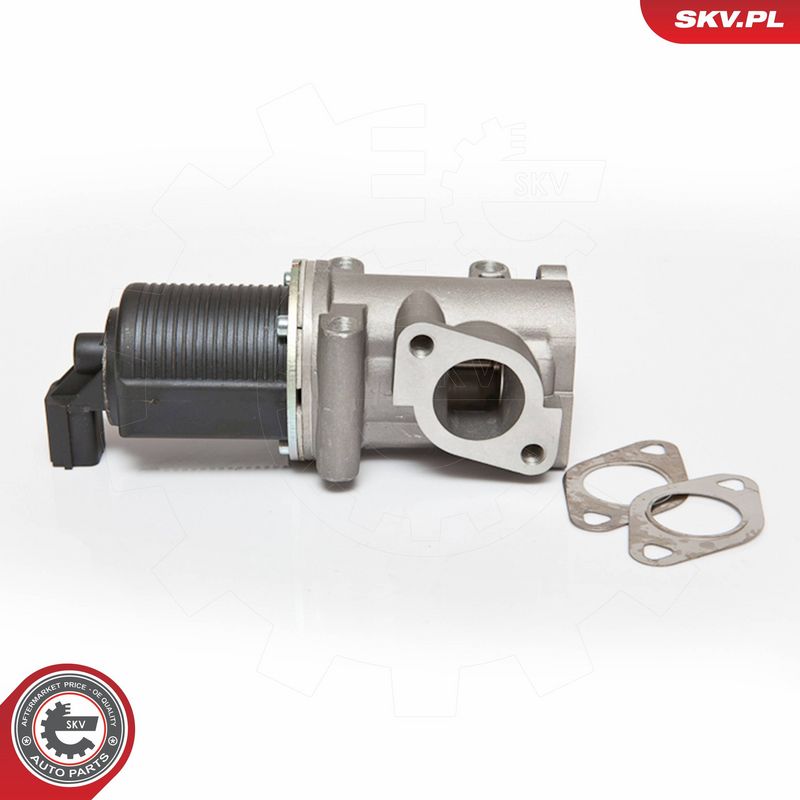 ESEN SKV 14SKV076 - EGR Valve