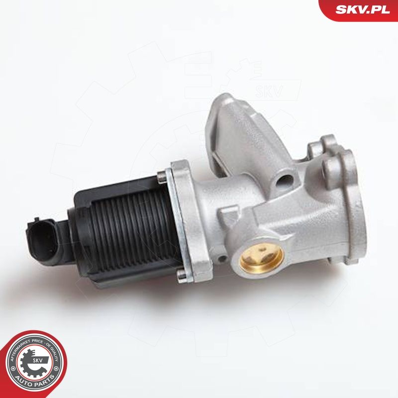 EGR-klapp, ESEN SKV 14SKV031