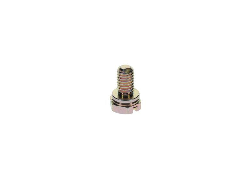 Surub 1 413 453 025 BOSCH