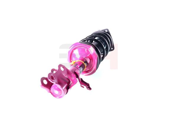 Vedruamort, GH GH-352298C01