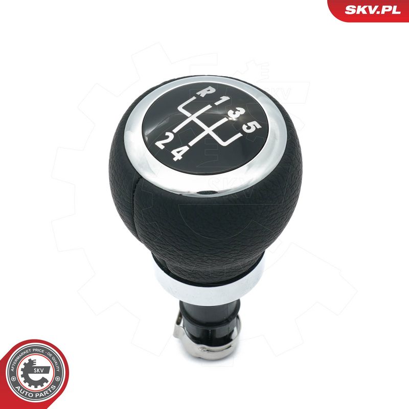 Käigukanginupp, ESEN SKV...