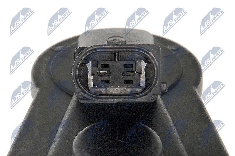 hzt-vw-046_5-wm.JPG