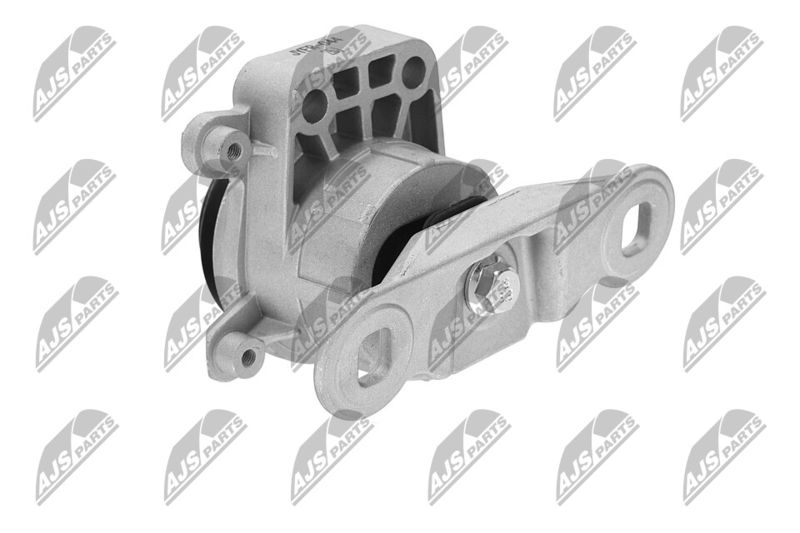 Paigutus, Mootor, NTY ZPS-FR-044